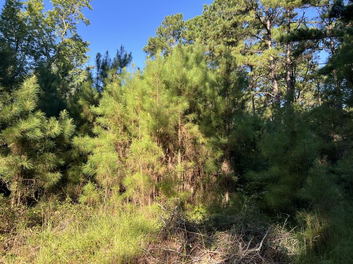Property Photo: 1060 Deer Trail Lot 56 SC 29142