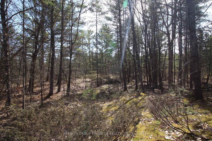 Lot 15 Concession 9 N/A — photo 1