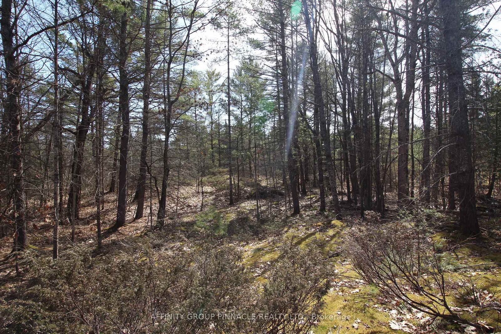 Property Photo:  Lot 15 Concession 9 N/A  ON K0L 1J0 