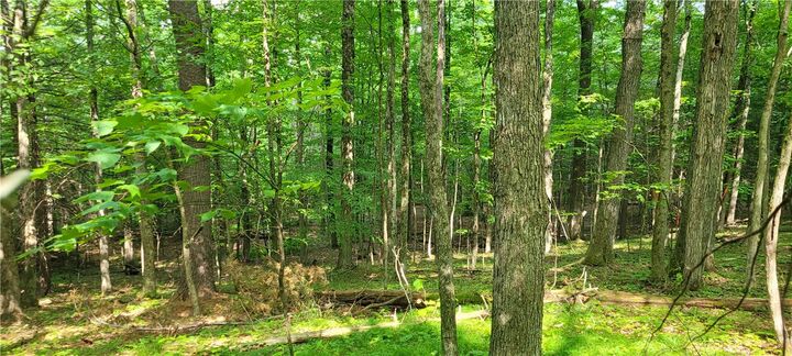 Property Photo: Hagerman NY 14892