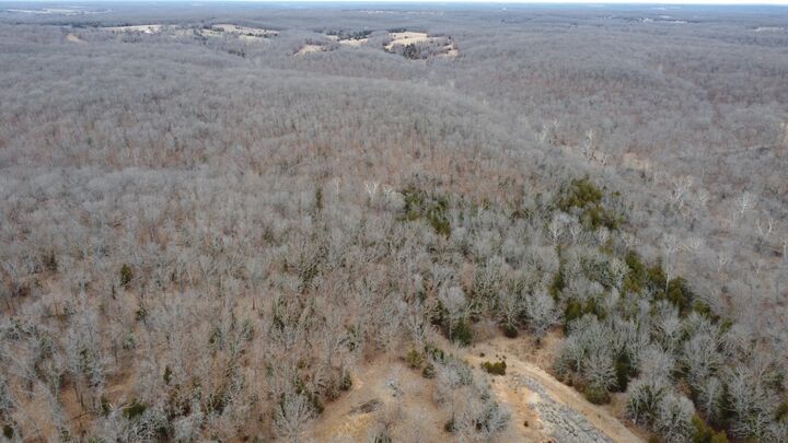 Property Photo:  99.5 Acres County Road 40  MO 65634