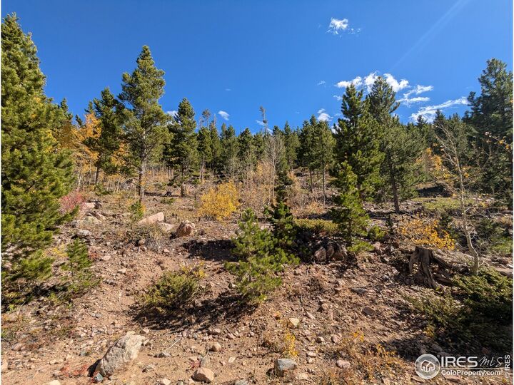 Property Photo:  11 Bear Gulch Rd  CO 80545 