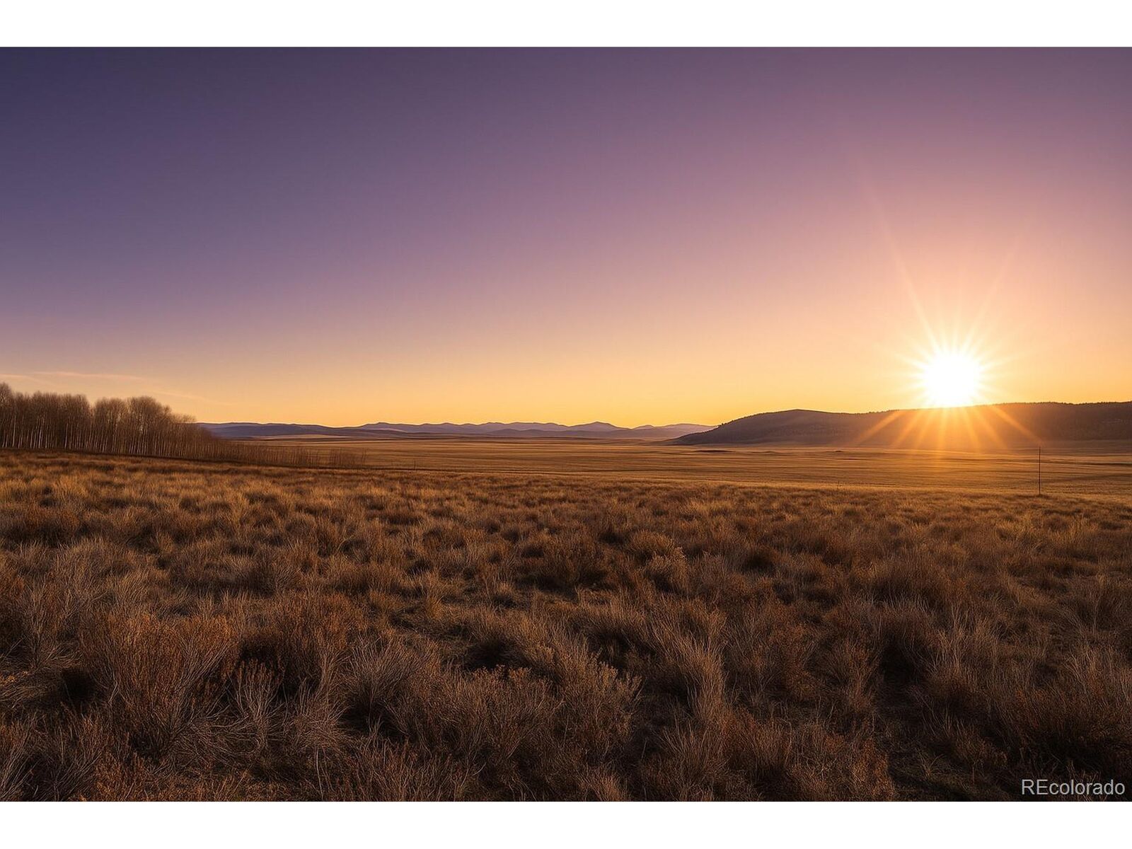 Property Photo:  223 Breakneck Pass Rd  CO 80440 