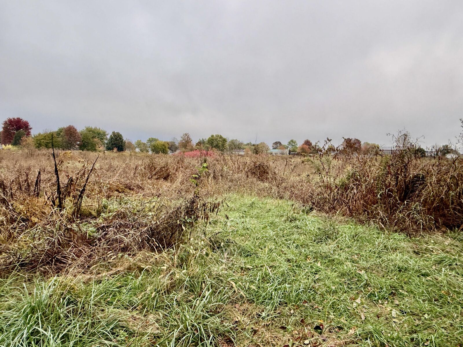 Property Photo:  1 Ky Hwy 1194 0  KY 40484 