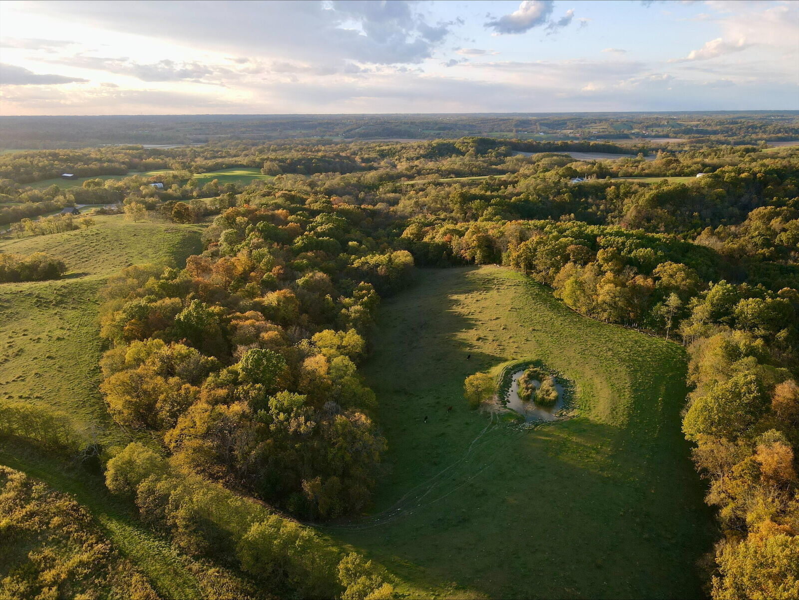 Property Photo: 471 Morgan Hightower Road KY 41040