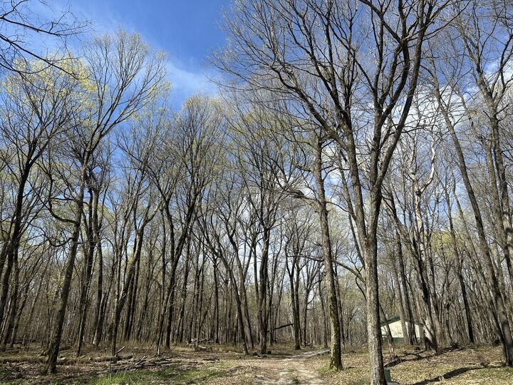 Property Photo:  8309 County Road 19 SE  MN 55904 
