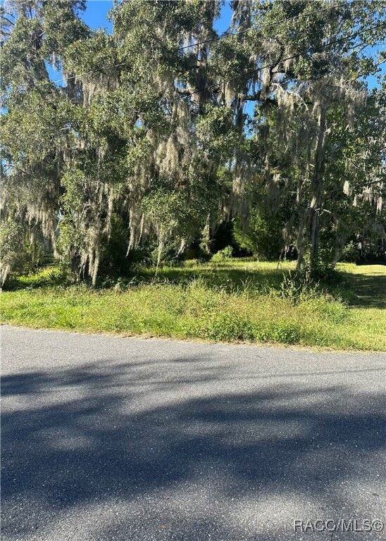 Property Photo:  Lot 8 NE 1st Street  FL 32696 