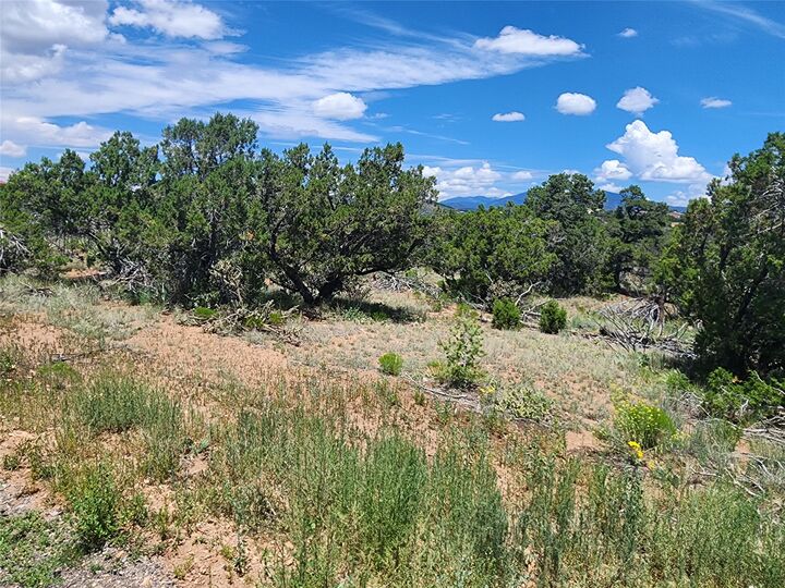 Property Photo: 4 Goathead Ct NM 87508