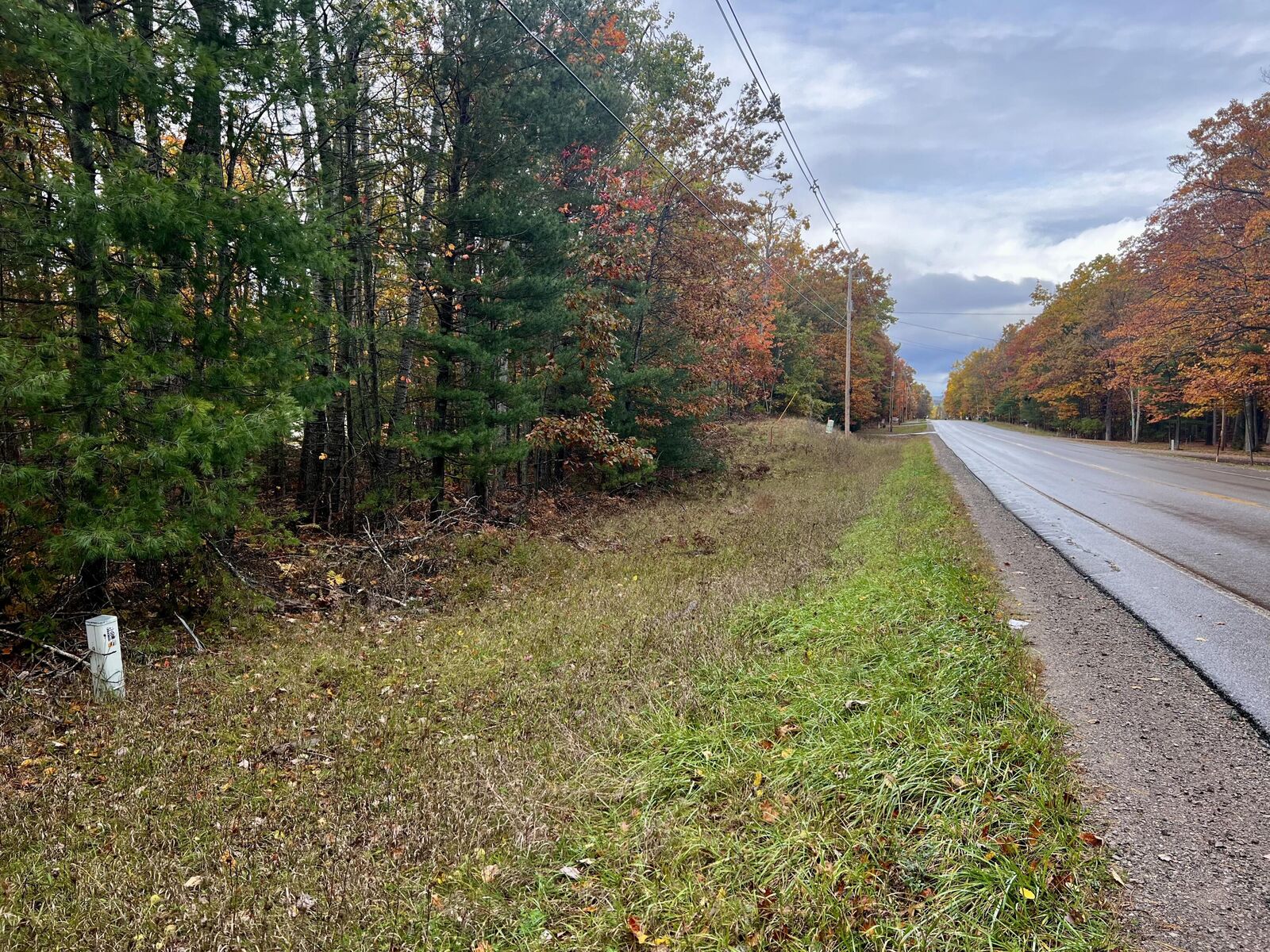 Property Photo: 2534 E Mullett Lake Road MI 49749