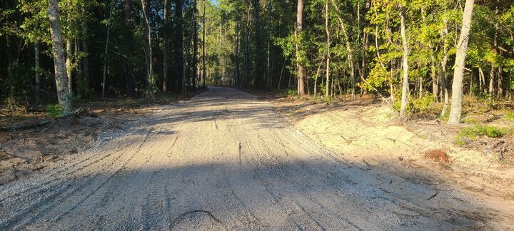 Property Photo:  12288 Bloomville Road  SC 29102