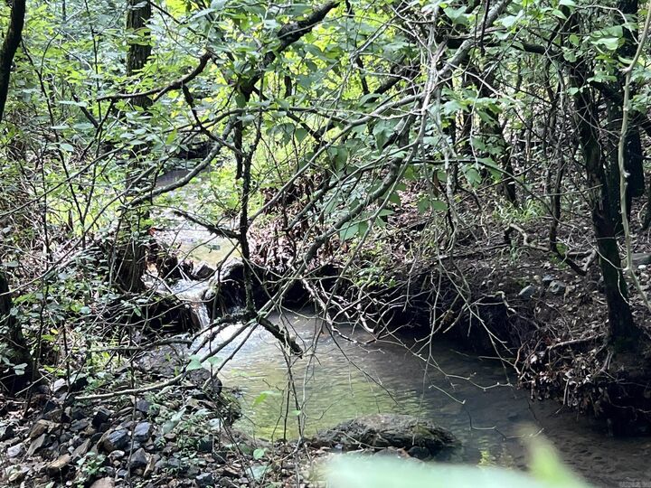 Property Photo:  Unk Fs Road 521  AR 71953 