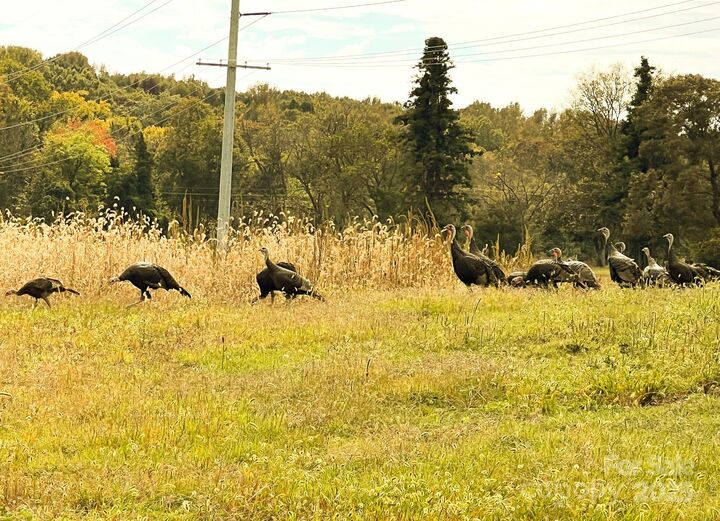 Property Photo:  24990 Birdhouse Lane 4  NC 28097