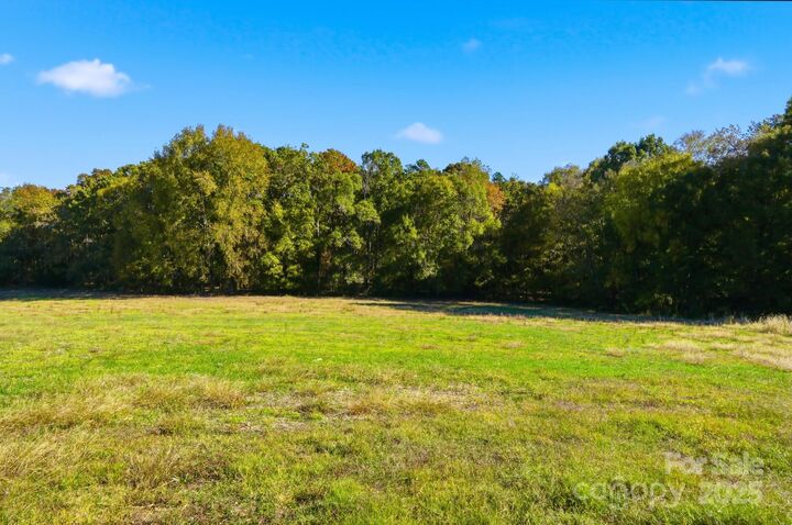 Property Photo:  24990 Birdhouse Lane 4  NC 28097 