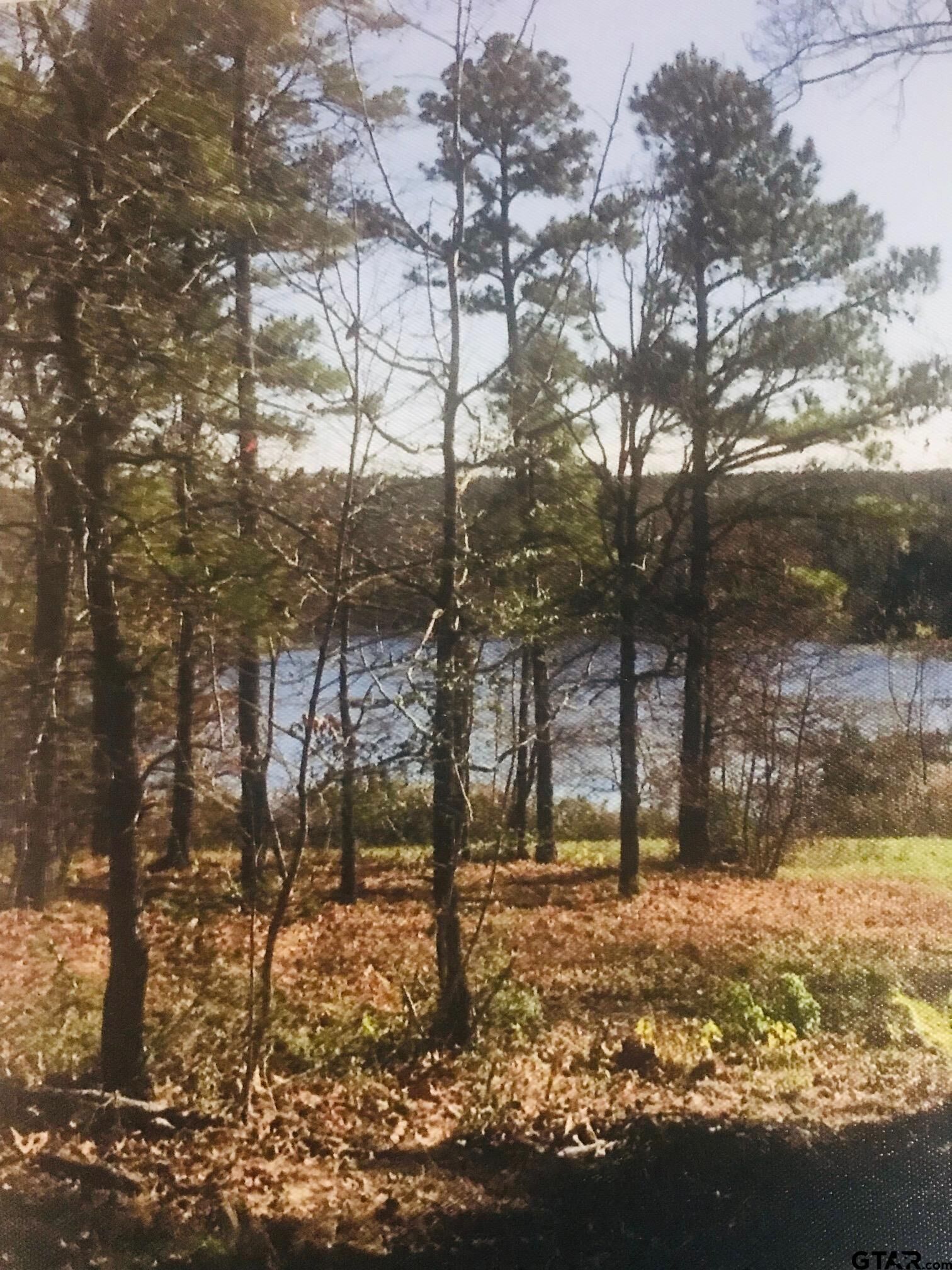 Property Photo:  Lot 17 Cr 3545  TX 75765 