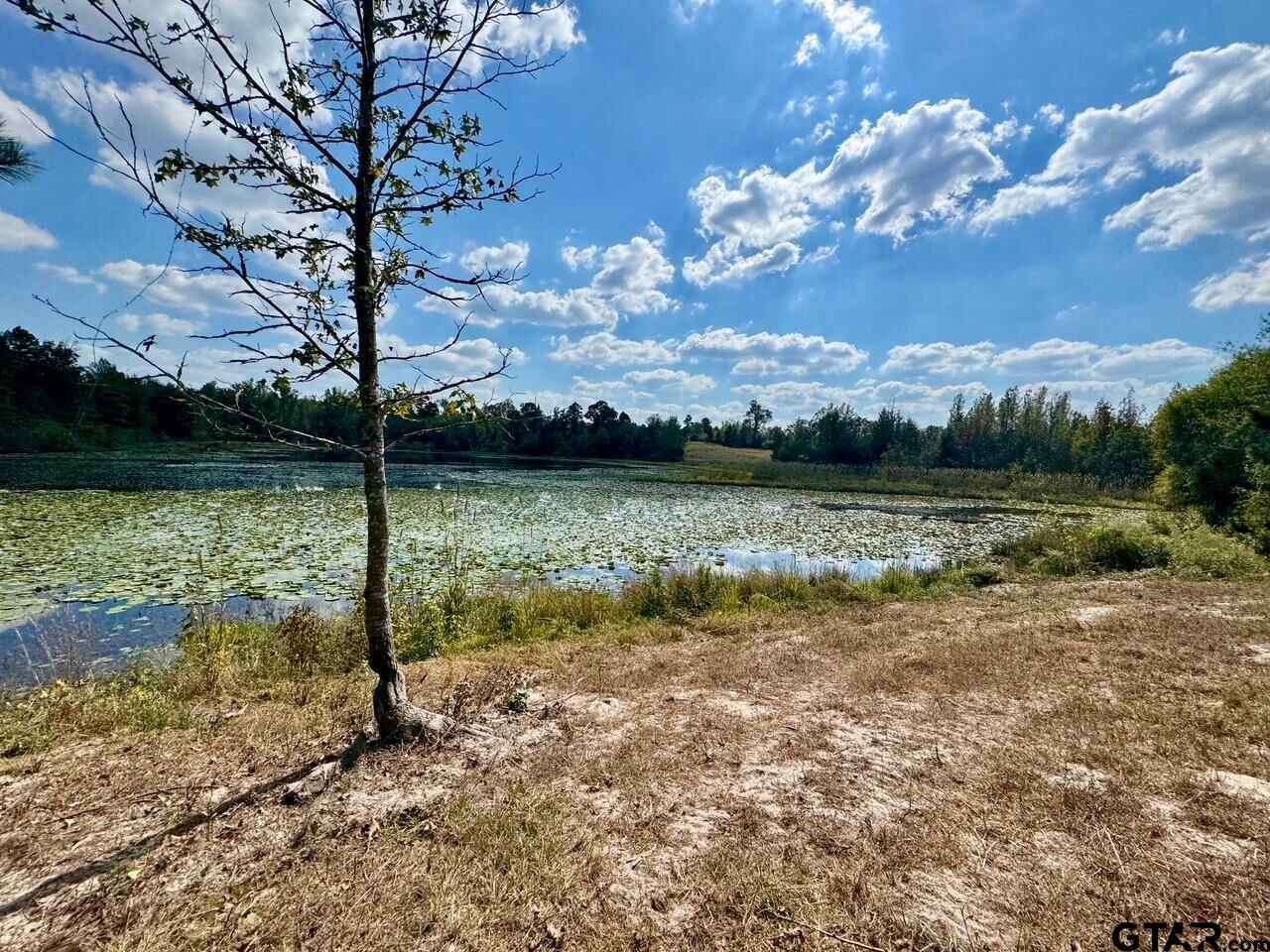 Property Photo: Lot 17 Cr 3545 TX 75765