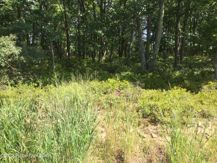 Property Photo: Mv Lot 521 Appalachian Way PA 18202