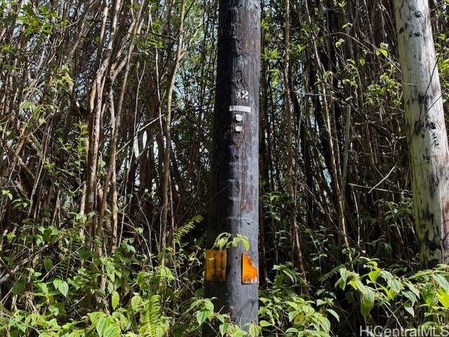 Property Photo: 17-3352 Maunalani Road HI 96771