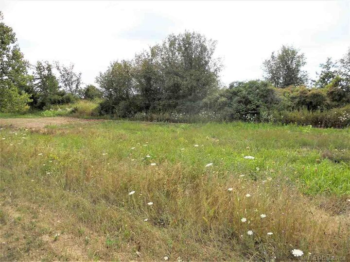 Property Photo:  Parcel 3 Windmill Lane  MI 48444 