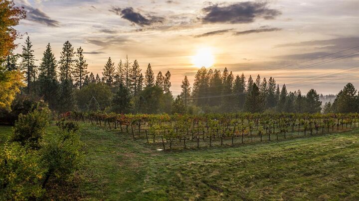 Property Photo:  2451 Kingsgate Road  CA 95667 