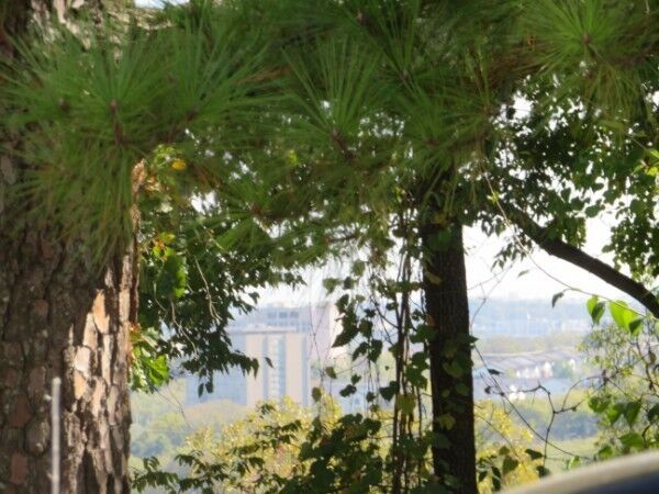 Property Photo:  2306 Alpine Ave  TN 37218