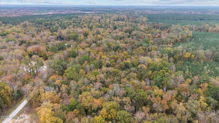 Property Photo:  164 Forest Glen Lane  NC 28573 