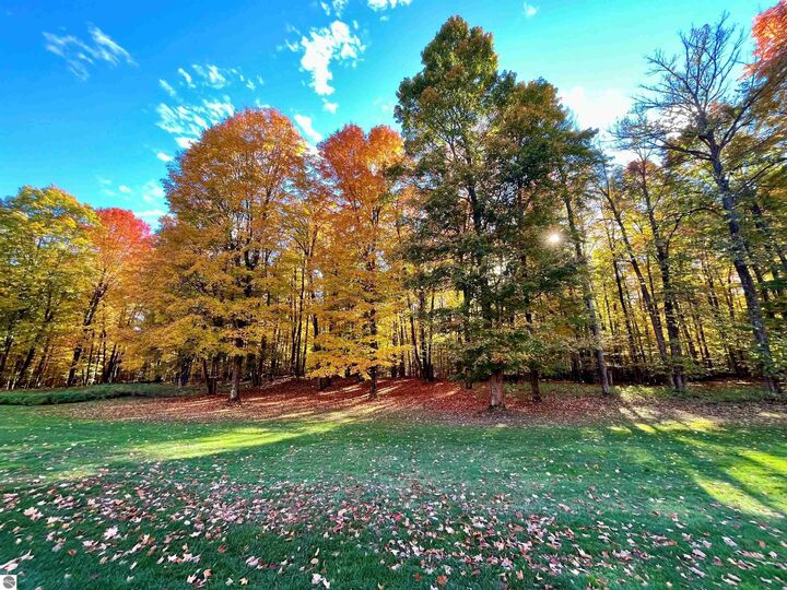 V/L 82 Troon North  Bellaire MI 49615 photo