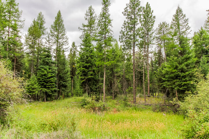 Property Photo:  422 Haskill Ranch Road  MT 59920 
