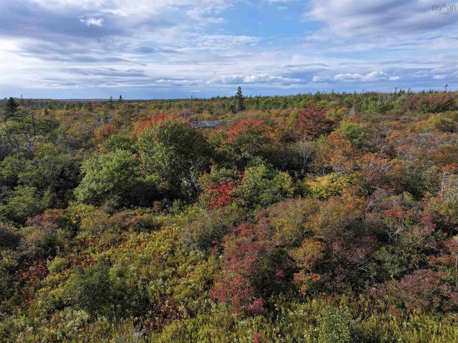 Property Photo:  Lot 1 Goldenville Road  NS B0J 0B3 