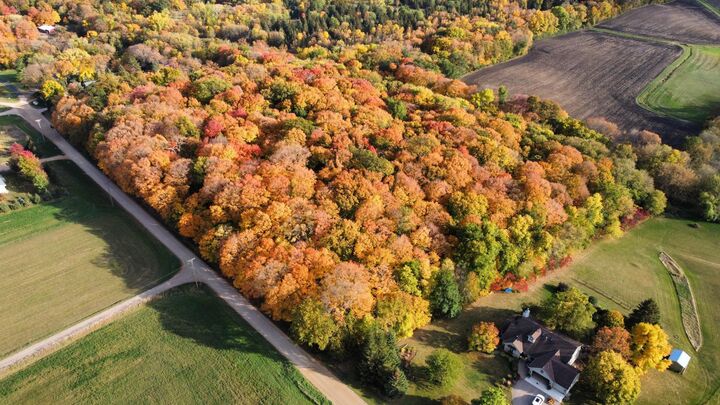 Property Photo:  11275 66th Street  MN 55387