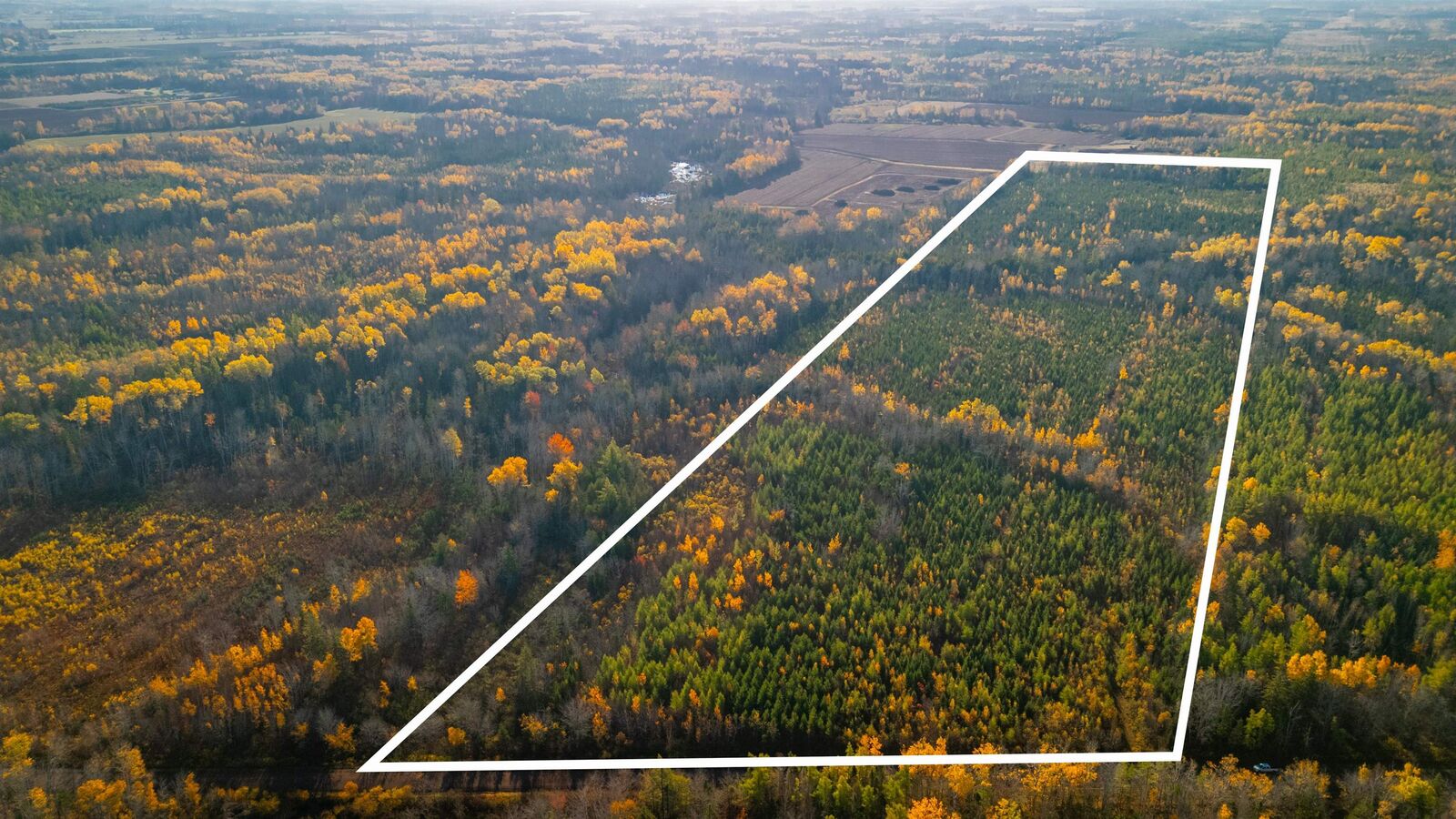 Photo de la propriété:  Acreage Doyle Road  PE C0B 1E0 