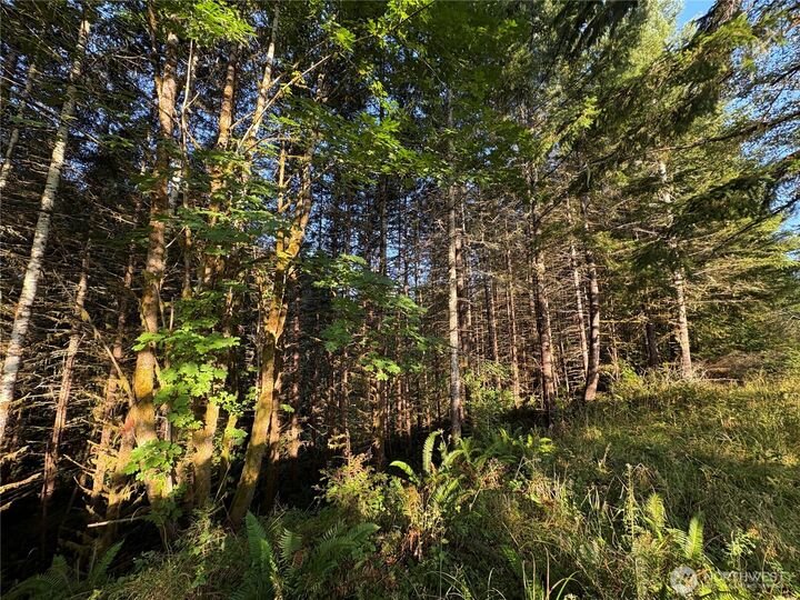 Property Photo:  0 Nka  Frank Smith Road  WA 98649