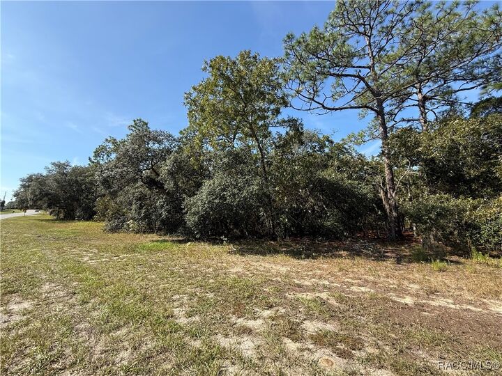 Property Photo:  4952 N Elkcam Boulevard  FL 34465 