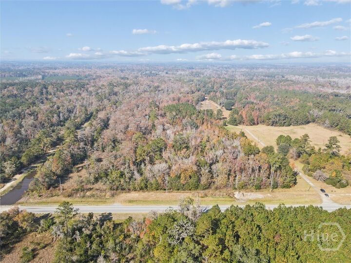 Property Photo:  0 S Coastal Highway  GA 31323 