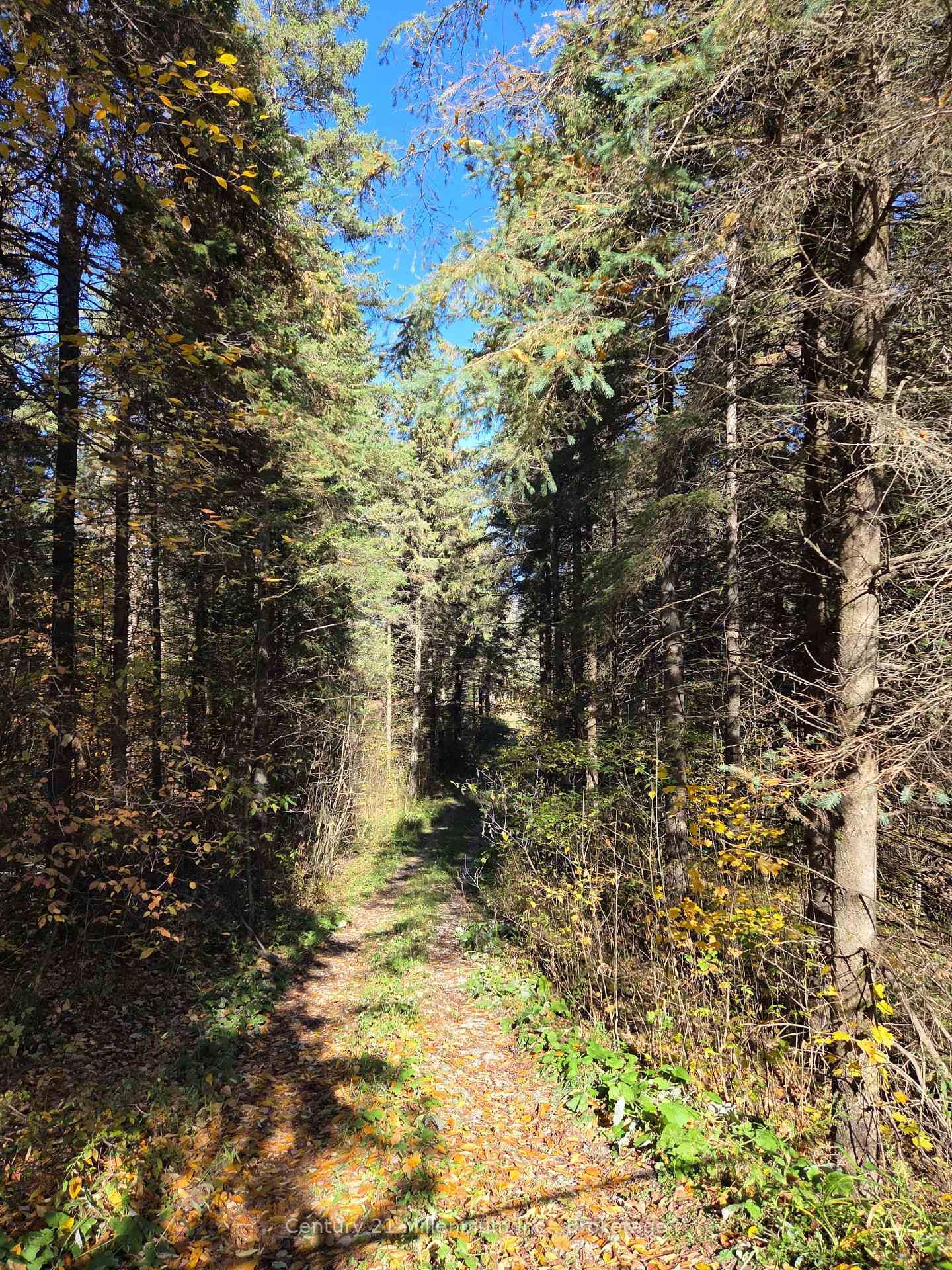 Photo de la propriété:  627383 15 Side Road  ON L0N 1M0 