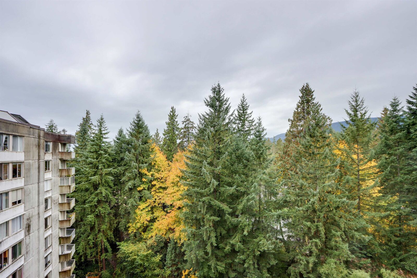 Property Photo:  2016 Fullerton Avenue 1212  BC V7P 3E6 