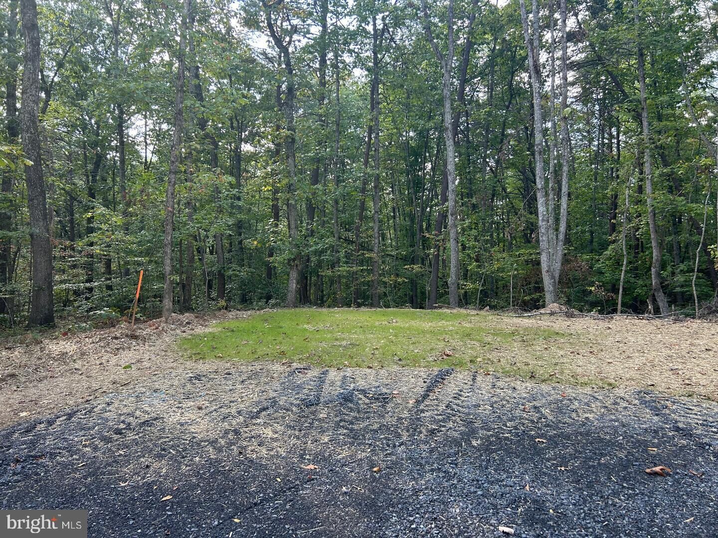 Property Photo: Parcel 5 Camden Lane VA 22718