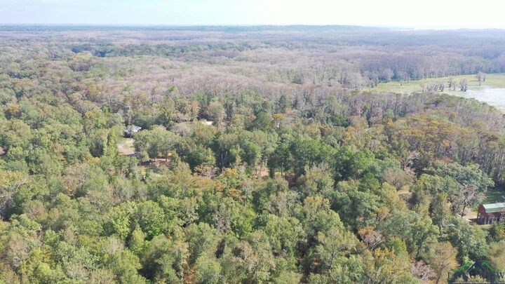 Property Photo: 000 Jackson Arm Rd TX 75661