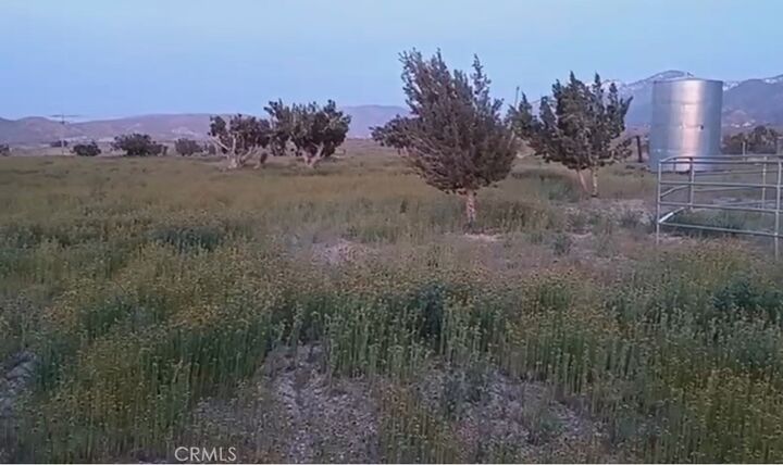 0 Vac/Longview Rd/Vic Murphys Road  Littlerock CA 93543 photo