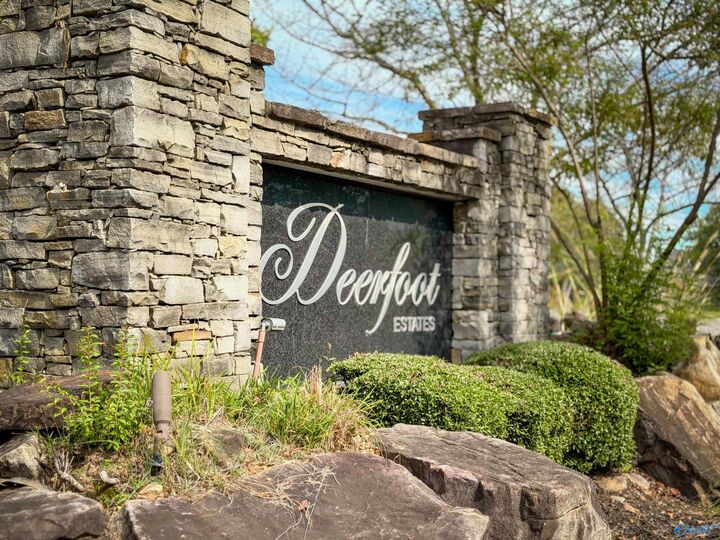 Property Photo:  Lot 3 Newcastle Lane  AL 35603