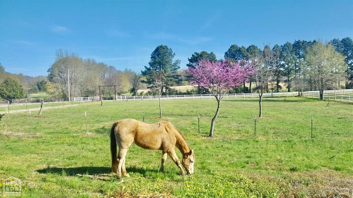 Property Photo:  900 County Road 730  AR 72405