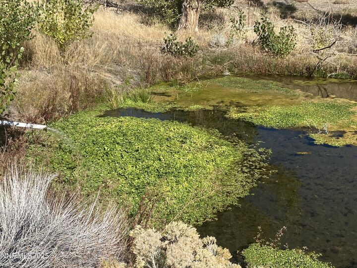 Property Photo:  1155 S US Highway 395  NV 89410 