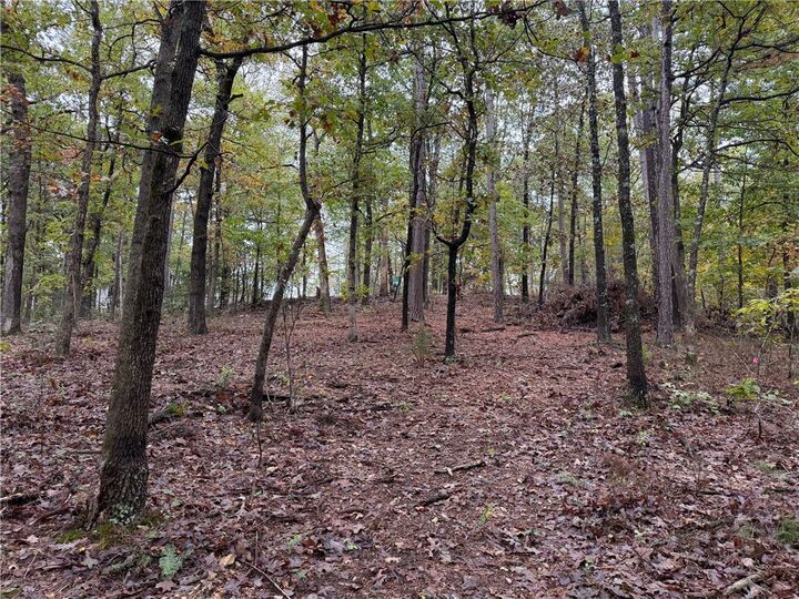 Property Photo:  Potter Lane  AR 72715 