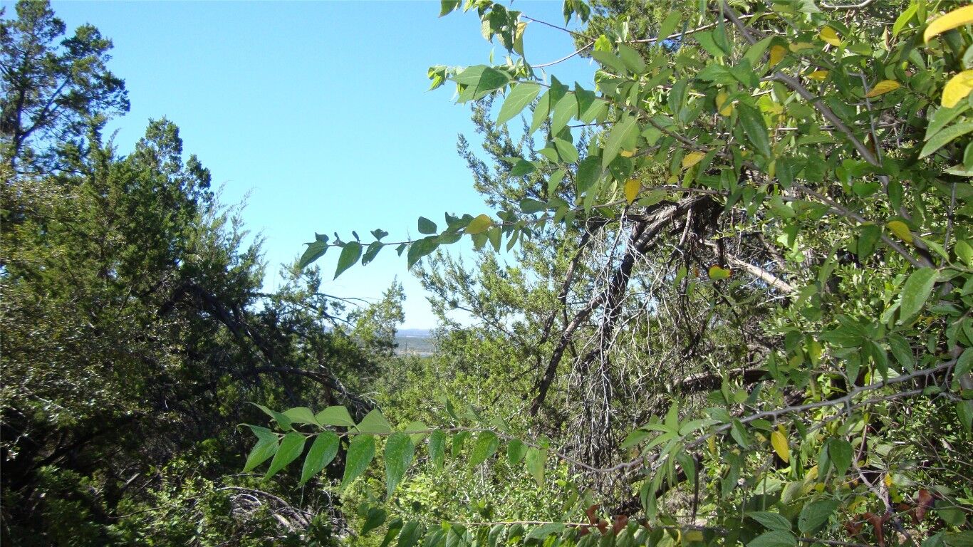 Property Photo:  20804 Bonanza Street  TX 78645 