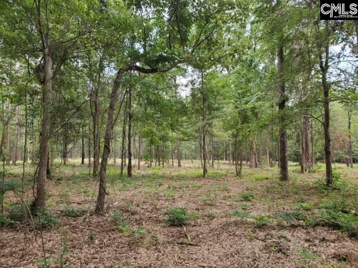 Property Photo: 220 Courtland SC 29036