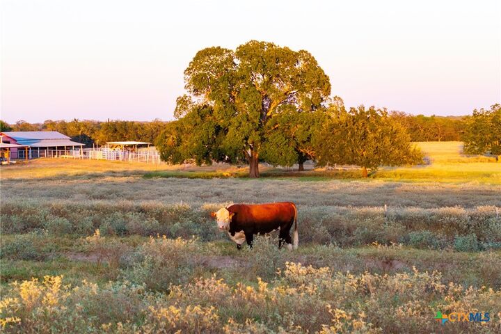 Property Photo:  1155 Fm 2438  TX 78155 