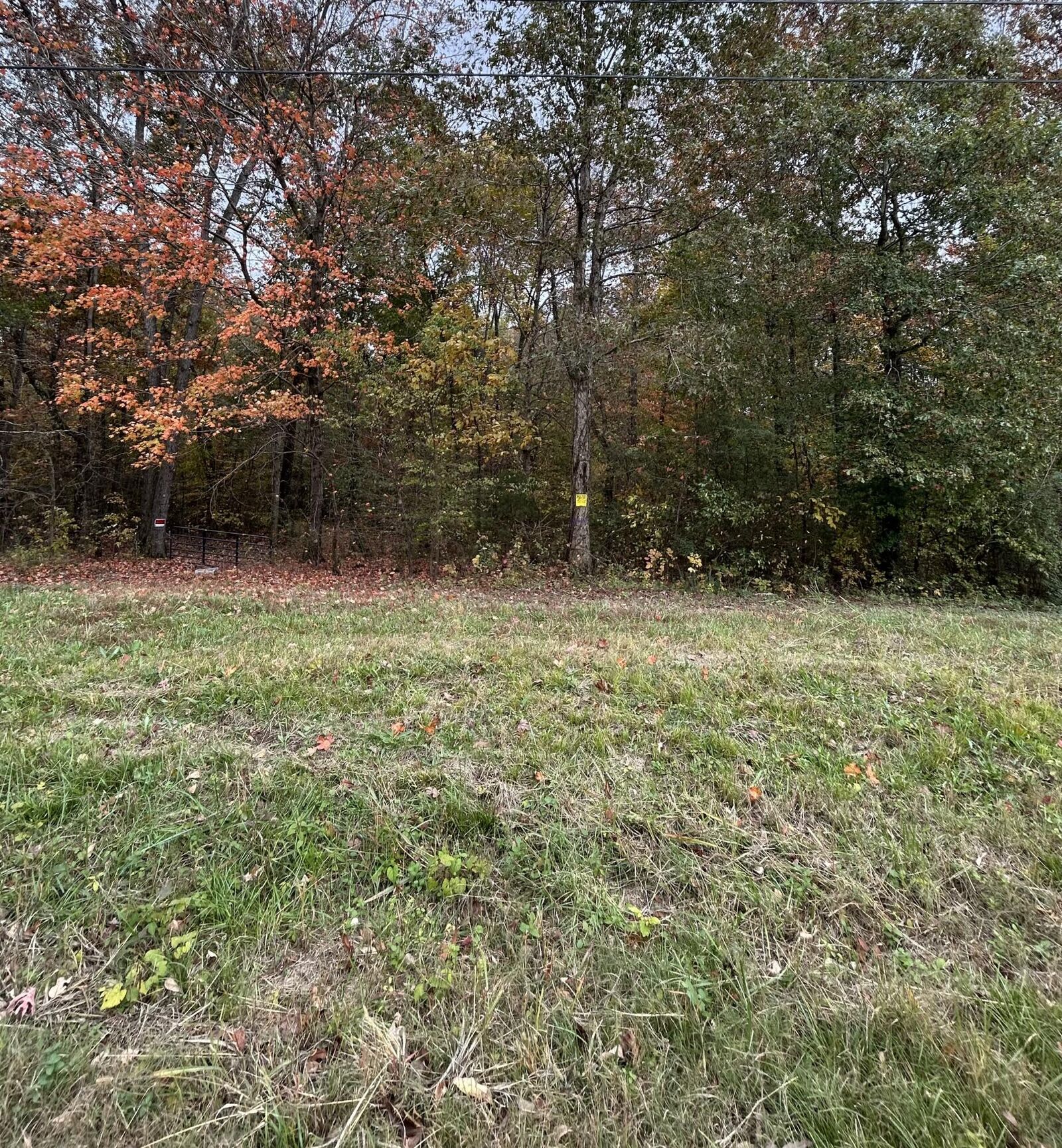 Property Photo:  7810 N Lee Highway  TN 37312