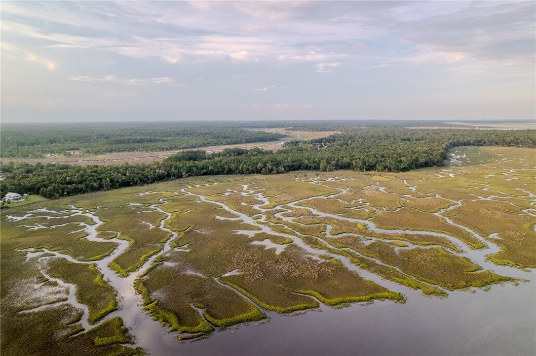 Property Photo:  0 Sheffield Island Road  GA 31569 