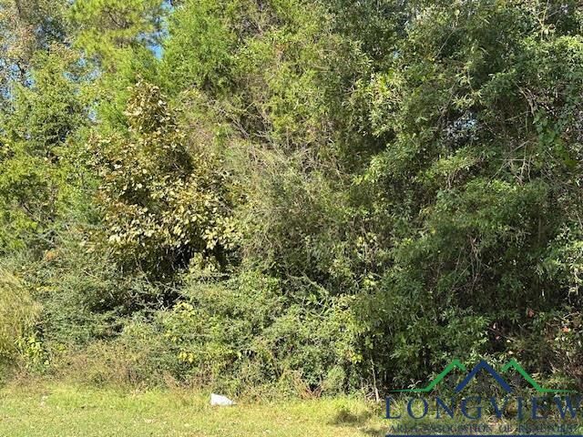 Property Photo:  Tbd County Road 4682  TX 75633 