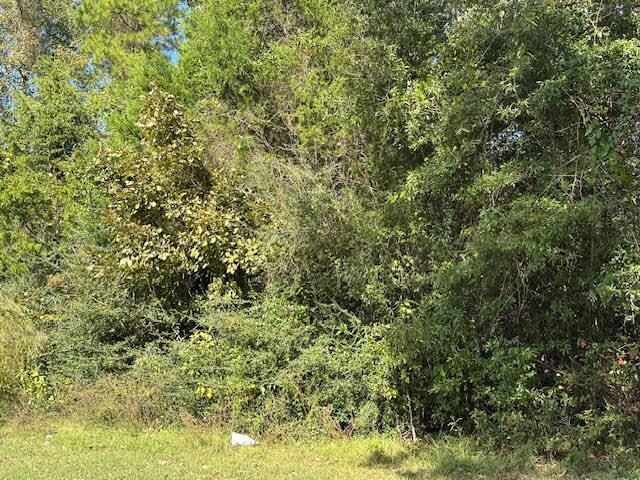 Property Photo:  Tbd County Road 4682  TX 75633 