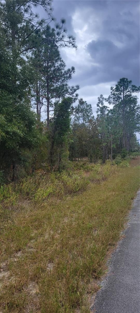Property Photo: 0 SW Arrow Leaf Trail FL 34431